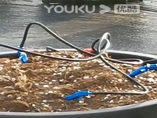噴灌系列視頻